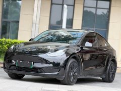 Tesla Model Y Standard Range RWD - ფოტო 1