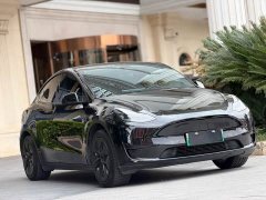 Tesla Model Y Standard Range RWD - ფოტო 3
