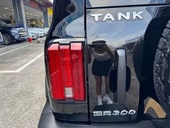 Tank 300 2021 Off-Road Edition 2.0T Conqueror - ფოტო 18