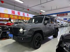 Tank 300 Off-Road Edition 2.0T Conqueror - ფოტო 1