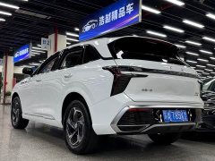 FAW Red Flag HS3 2024 1.5T Shanwei Edition - ფოტო 11