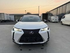 Lexus UX New Energy 2020 300e Pure Joy Edition - ფოტო 2