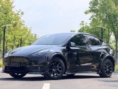 Tesla Model Y Standard Range RWD - ფოტო 1