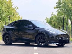 Tesla Model Y Standard Range RWD - ფოტო 3
