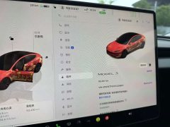 Tesla Model 3 2023 Rear-Wheel Drive - ფოტო 8