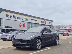 Tesla Model Y Long Range All-Wheel Drive - ფოტო 1