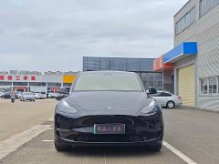 Tesla Model Y Long Range All-Wheel Drive - ფოტო 2