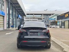 Tesla Model Y Long Range All-Wheel Drive - ფოტო 8