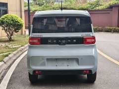 Wuling Hongguang MINIEV Macaron Fashion Edition LFP Battery - ფოტო 6