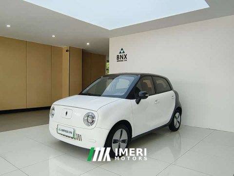 2021 Ora 301km Version - ავტომობილი ჩინეთიდან
