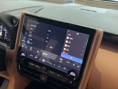 Toyota Alphard Hybrid 2.5L Premium Edition - ფოტო 20