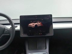 Tesla Model Y Performance All-Wheel Drive - ფოტო 12