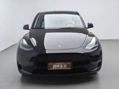 Tesla Model Y Performance All-Wheel Drive - ფოტო 3