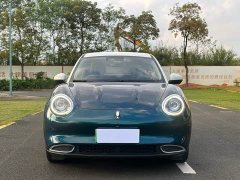ORA Good Cat 400km Standard Range Luxury Lithium Iron Phosphate - ფოტო 2