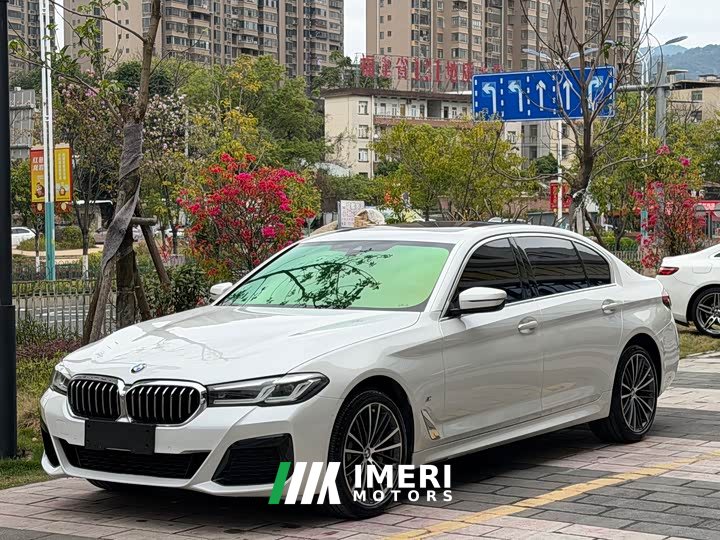 BMW 5 Series 530Li Premier M Sport Package - ავტომობილი ჩინეთიდან