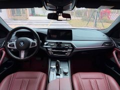 BMW 5 Series 530Li Premier M Sport Package - ფოტო 8