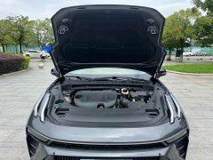 Lynk & Co Geely Lynk & Co 03 2023 2.0T Diesel DCT Pro - ფოტო 16