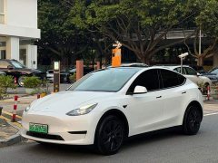 Tesla Model Y Rear-Wheel Drive - ფოტო 1