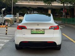Tesla Model Y Rear-Wheel Drive - ფოტო 12