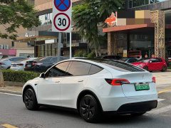 Tesla Model Y Rear-Wheel Drive - ფოტო 13