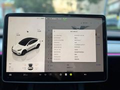 Tesla Model Y Rear-Wheel Drive - ფოტო 14