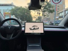 Tesla Model Y Rear-Wheel Drive - ფოტო 8