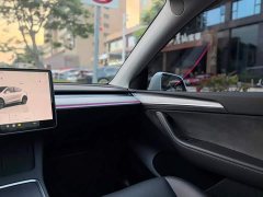 Tesla Model Y Rear-Wheel Drive - ფოტო 9