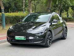 Tesla Model Y Long Range All-Wheel Drive - ფოტო 1