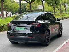 Tesla Model Y Long Range All-Wheel Drive - ფოტო 10