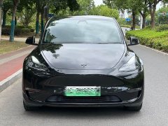 Tesla Model Y Long Range All-Wheel Drive - ფოტო 2