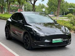 Tesla Model Y Long Range All-Wheel Drive - ფოტო 3