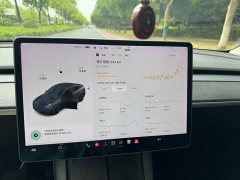 Tesla Model Y Long Range All-Wheel Drive - ფოტო 5