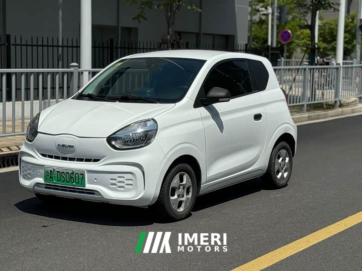 SAIC Corey Wei CLEVER 302km All-Purpose Edition - ავტომობილი ჩინეთიდან