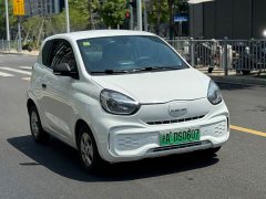 SAIC Corey Wei CLEVER 302km All-Purpose Edition - ფოტო 3