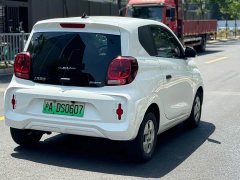 SAIC Corey Wei CLEVER 302km All-Purpose Edition - ფოტო 9