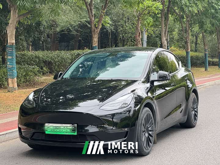 Tesla Model Y Standard Range RWD - ავტომობილი ჩინეთიდან