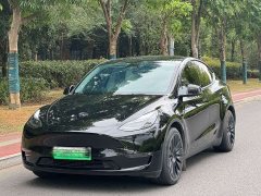 Tesla Model Y Standard Range RWD - ფოტო 1