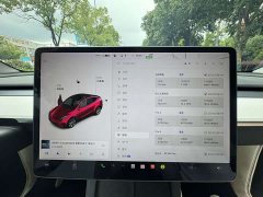 Tesla Model Y Standard Range RWD - ფოტო 10