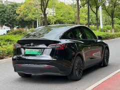 Tesla Model Y Standard Range RWD - ფოტო 12