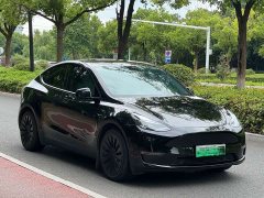 Tesla Model Y Standard Range RWD - ფოტო 3
