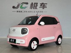 FAW Besturn Xiaoma 2024 170km Vitality Edition - ფოტო 1