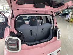 FAW Besturn Xiaoma 2024 170km Vitality Edition - ფოტო 13