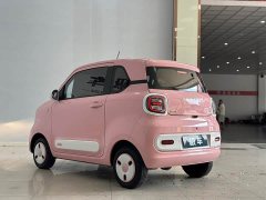 FAW Besturn Xiaoma 2024 170km Vitality Edition - ფოტო 8