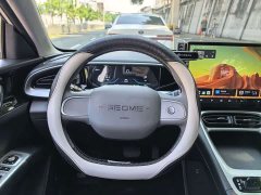 Geely Star Wish 410km Freedom Edition - ფოტო 12