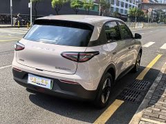 Geely Star Wish 410km Freedom Edition - ფოტო 6