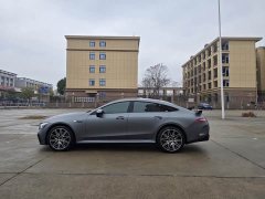 Mercedes-Benz AMG GT AMG GT 50 Four-Door Coupe - ფოტო 11