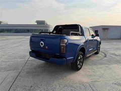Wuling Cannon 2021 2.0T Passenger Global Edition Automatic Gasoline 4WD Comfort Standard Bed GW4C20B - ფოტო 7