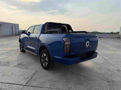 Wuling Cannon 2021 2.0T Passenger Global Edition Automatic Gasoline 4WD Comfort Standard Bed GW4C20B - ფოტო 9