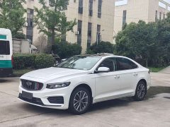 Geely Xingrui 2.0T Diesel Luxury - ფოტო 1