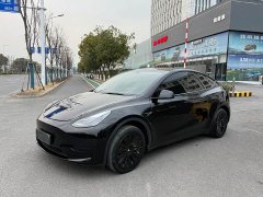 Tesla Model Y Rear-Wheel Drive - ფოტო 1